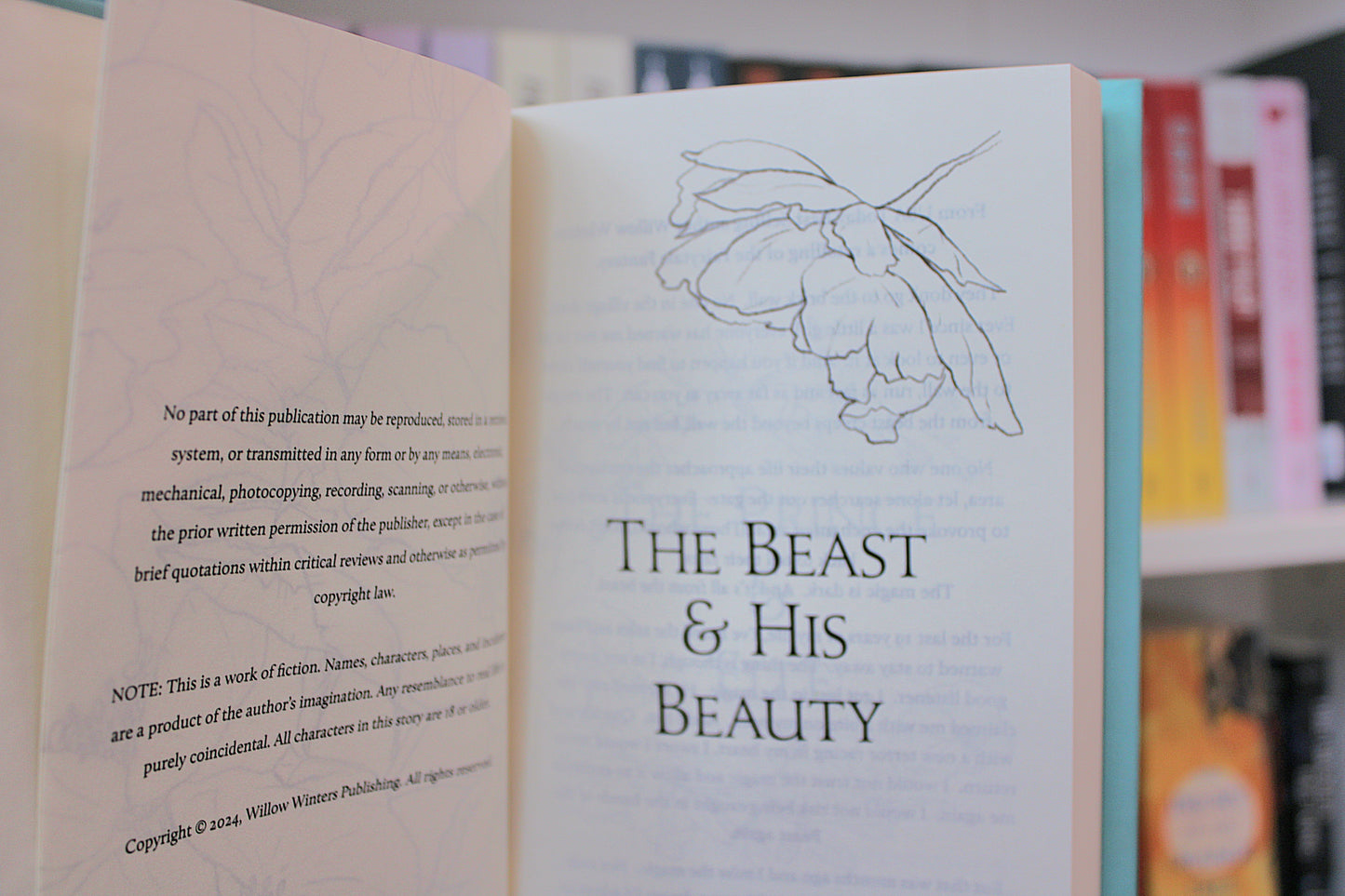 The Beast & His beauty (Discreet series cover) by Willow Winters